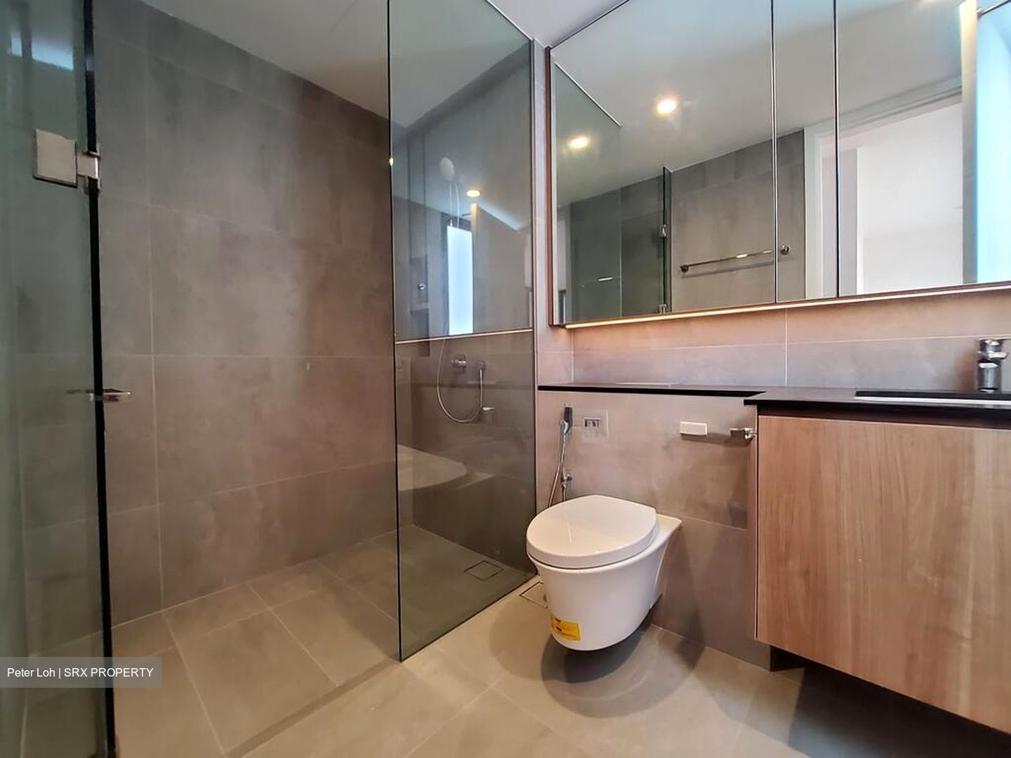 Binjai Park (D21), Semi-Detached #504051791